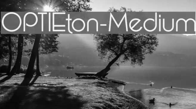 OPTIEton-Medium Font examples