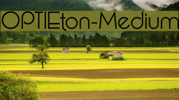 OPTIEton-Medium Example 2