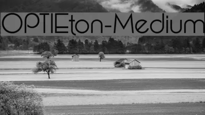 OPTIEton-Medium Font examples