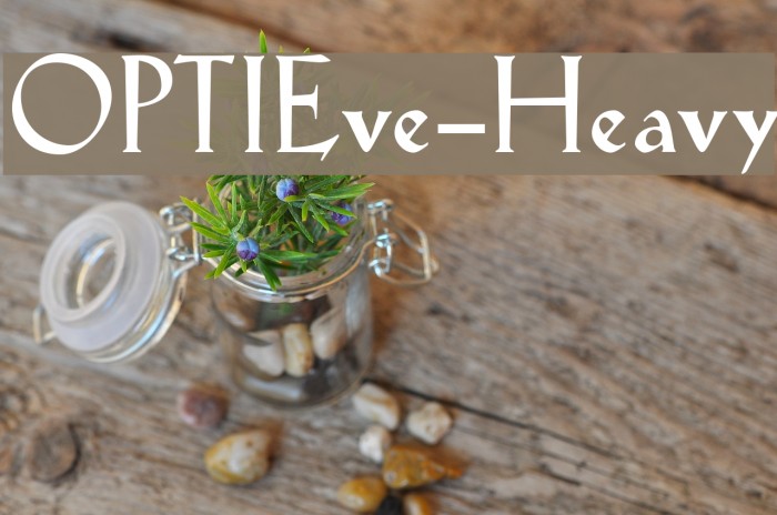 OPTIEve-Heavy Example 2