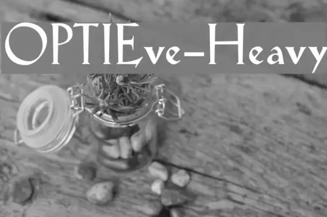 OPTIEve-Heavy Font examples