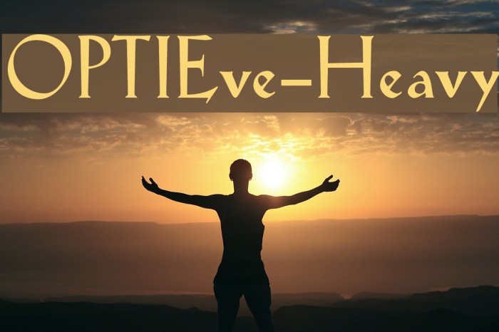 OPTIEve-Heavy Example 3