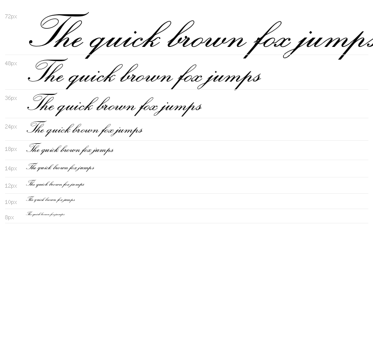 OPTIExcelsiorScript-SemiBd Waterfall