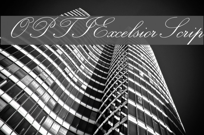 OPTIExcelsiorScript Polices examples