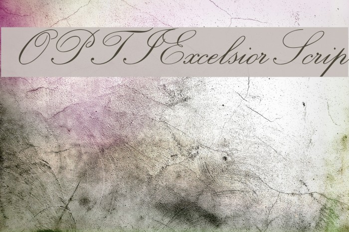 OPTIExcelsiorScript Polices examples