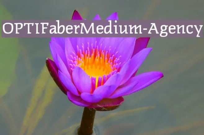 OPTIFaberMedium-Agency Example 2