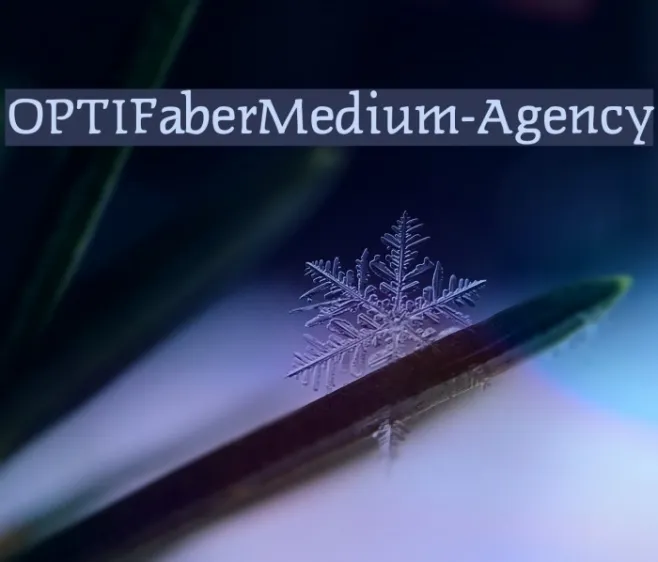 OPTIFaberMedium-Agency Example 3
