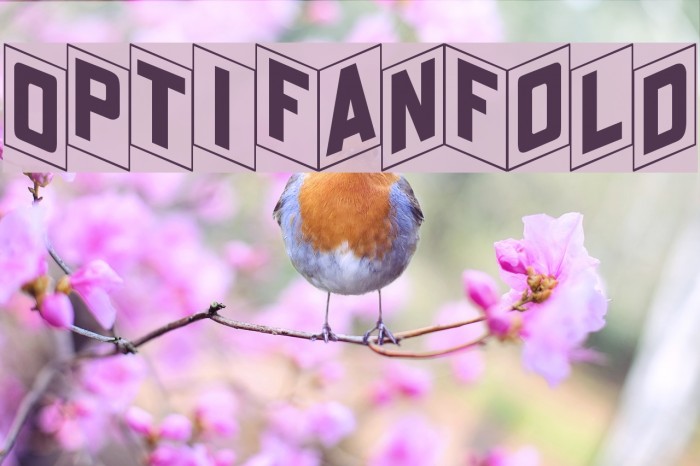 OPTIFanFold Example 1