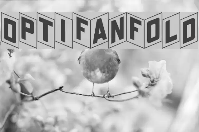 OPTIFanFold Font examples