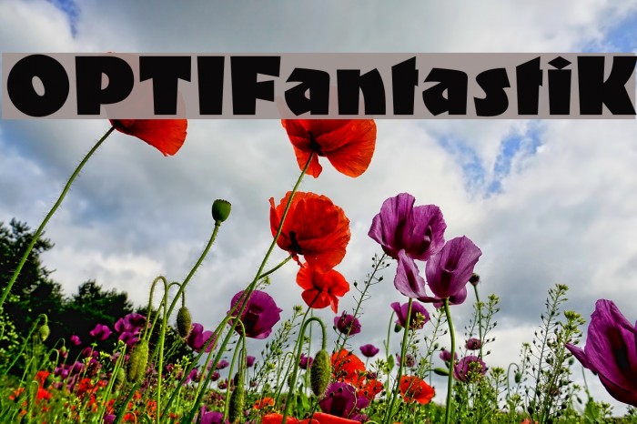 OPTIFantastiK Font examples