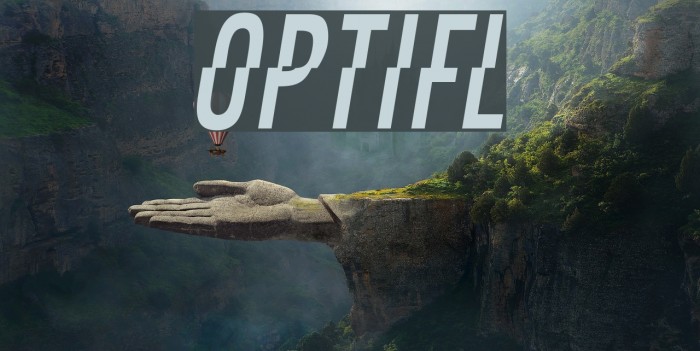 OPTIFaultLine Example 1