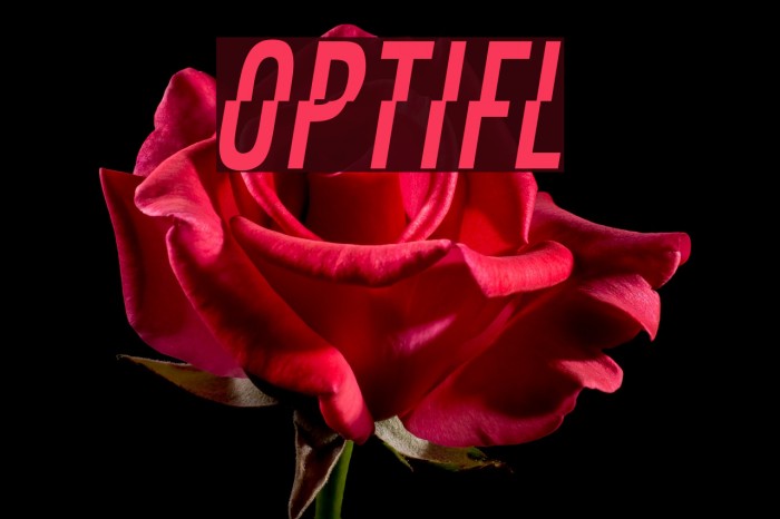 OPTIFaultLine Example 2