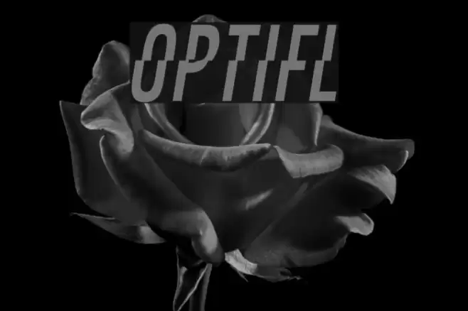 OPTIFaultLine Font examples