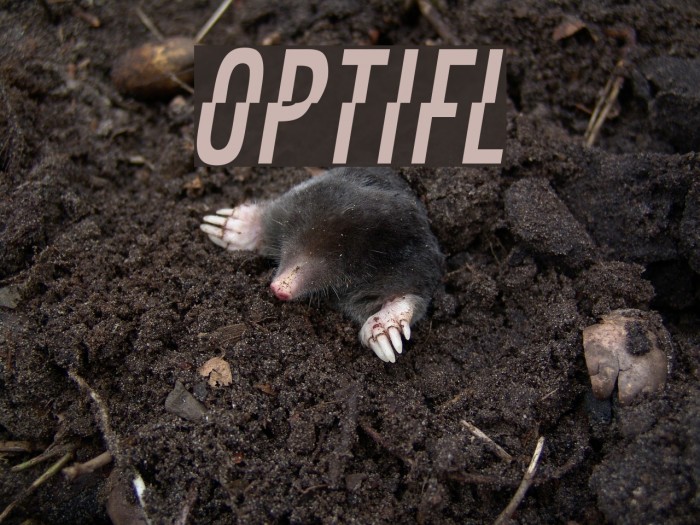 OPTIFaultLine Example 3