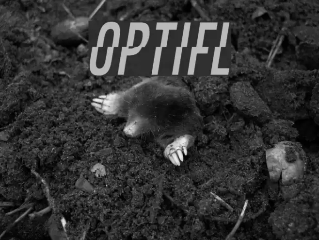 OPTIFaultLine Font examples