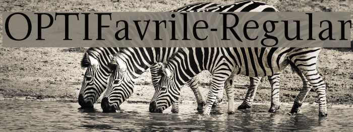 OPTIFavrile-Regular Example 1