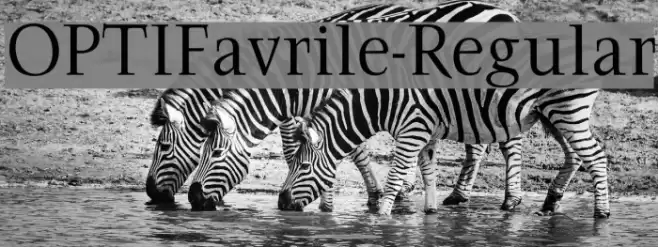 OPTIFavrile-Regular Font examples