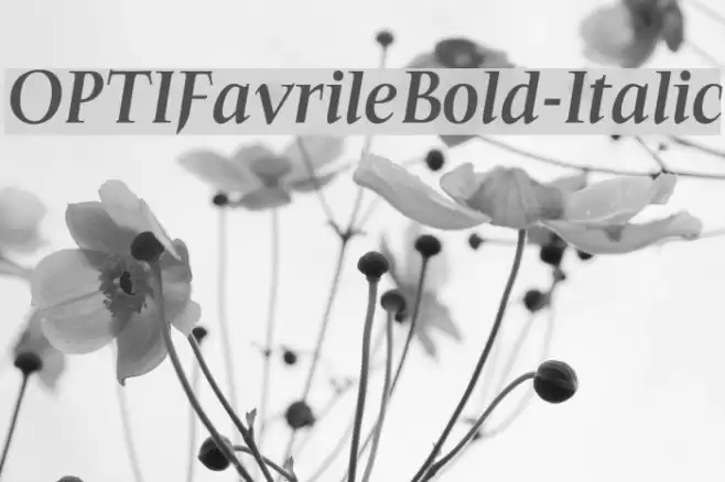 OPTIFavrileBold-Italic Font examples