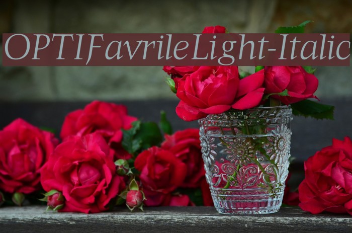 OPTIFavrileLight-Italic Font examples