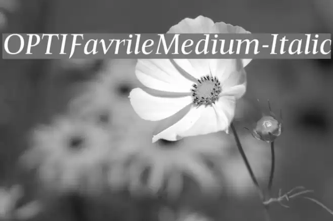 OPTIFavrileMedium-Italic Font examples