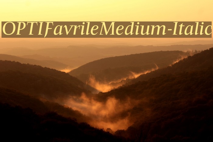 OPTIFavrileMedium-Italic Font examples