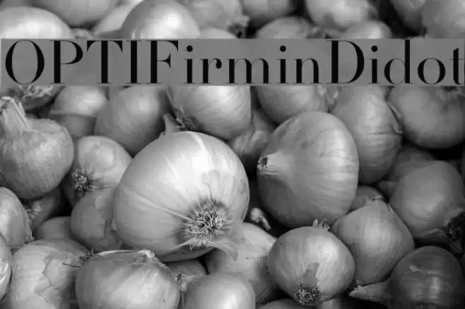 OPTIFirminDidot Font examples