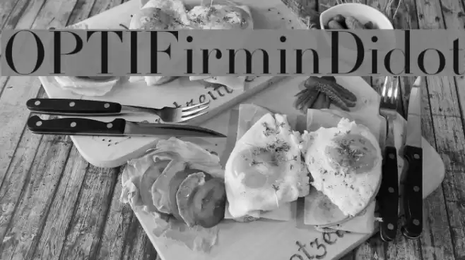 OPTIFirminDidot Font examples