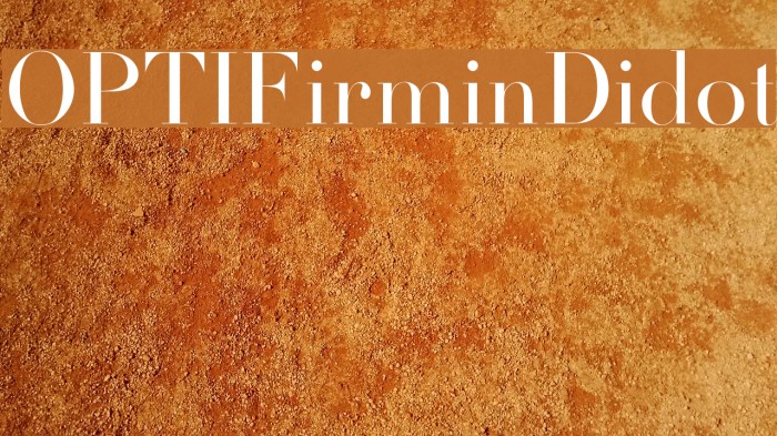 OPTIFirminDidot Font examples