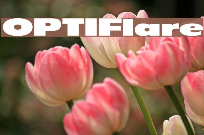 OPTIFlare Font examples