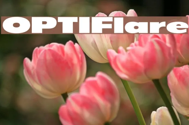 OPTIFlare Example 2