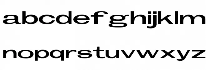 OPTIFleet フォント 小文字