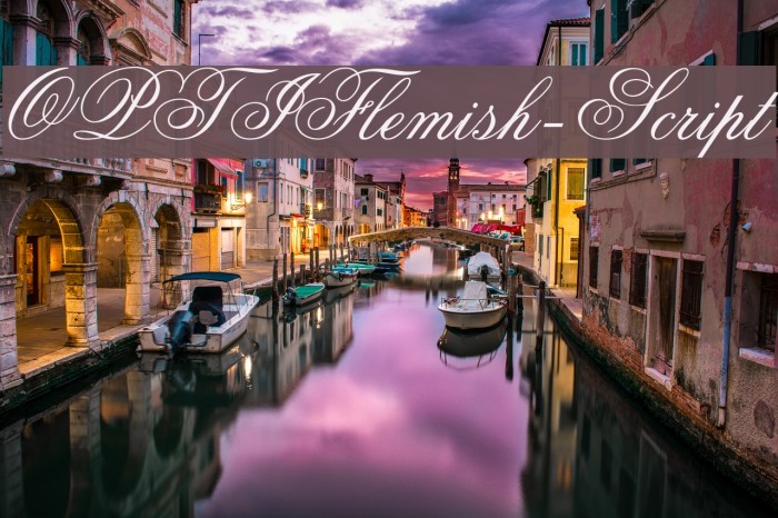 OPTIFlemish-Script Font examples