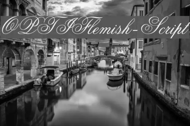 OPTIFlemish-Script Font examples
