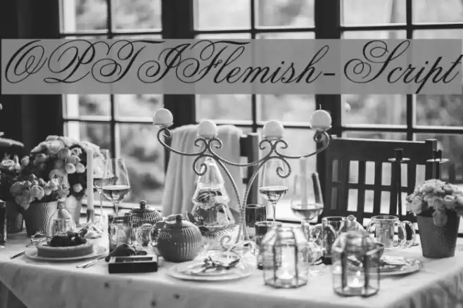 OPTIFlemish-Script Font examples
