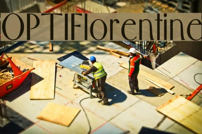 OPTIFlorentine Example 1
