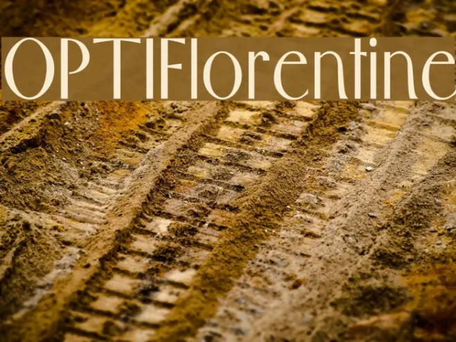 OPTIFlorentine Example 2