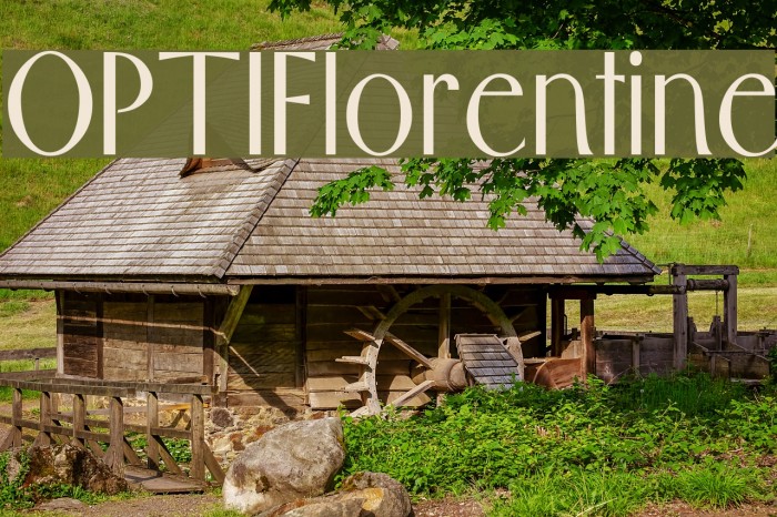 OPTIFlorentine Font examples