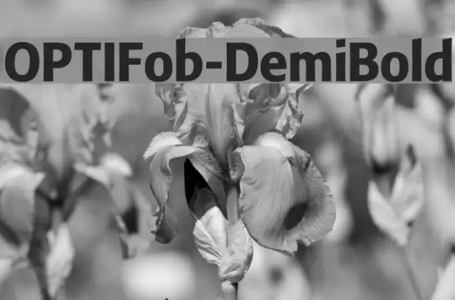 OPTIFob-DemiBold Font examples