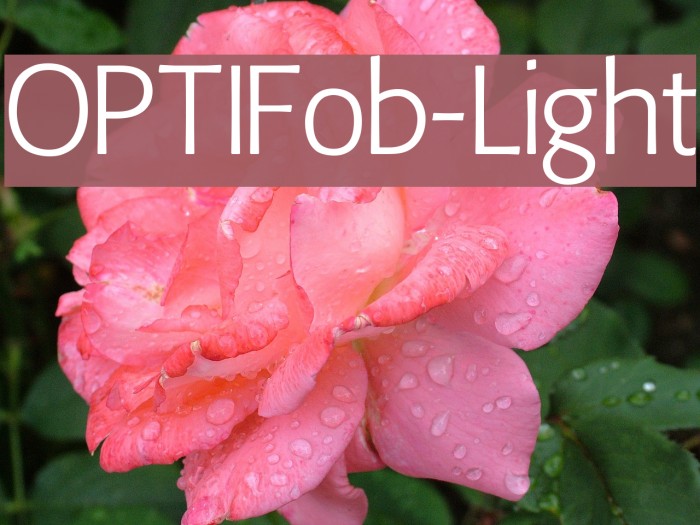 OPTIFob-Light Font examples