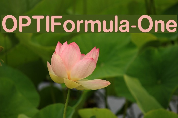 OPTIFormula-One Font examples