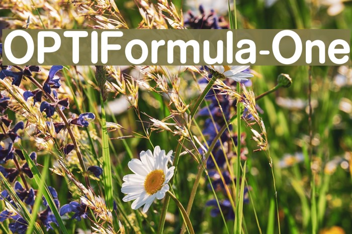 OPTIFormula-One Font examples