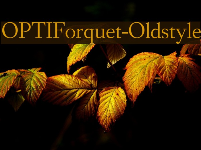 OPTIForquet-Oldstyle Font examples
