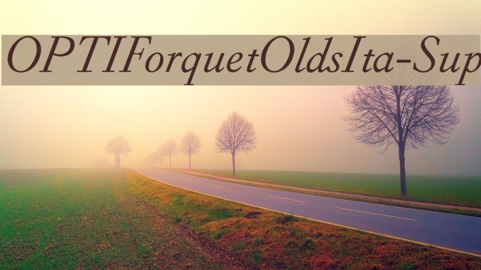 OPTIForquetOldsIta-Sup Font examples