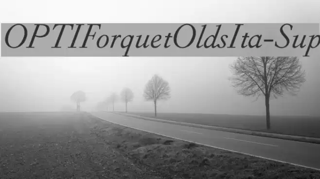 OPTIForquetOldsIta-Sup Font examples