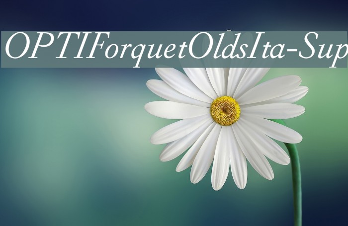 OPTIForquetOldsIta-Sup Font examples
