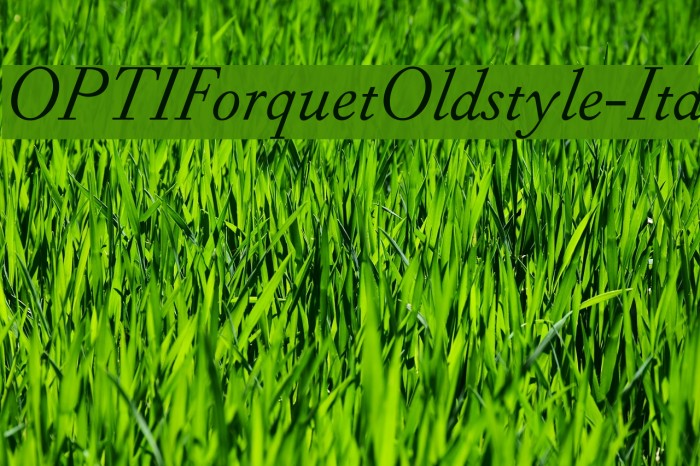 OPTIForquetOldstyle-Ita Font examples