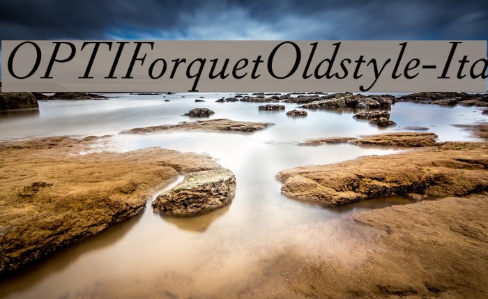 OPTIForquetOldstyle-Ita Font examples