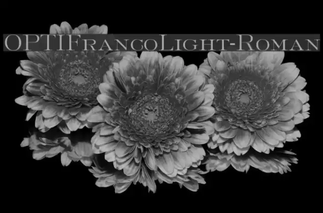 OPTIFrancoLight-Roman Font examples