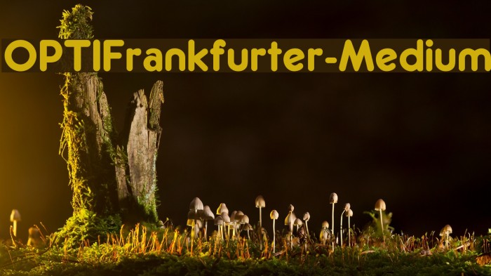 OPTIFrankfurter-Medium Font examples