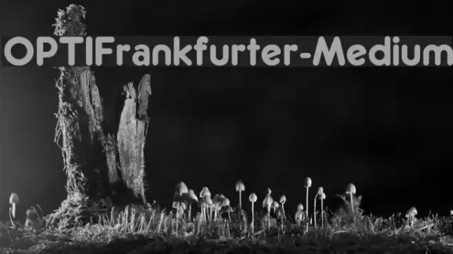 OPTIFrankfurter-Medium Шрифта examples